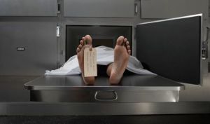 Feet-440802